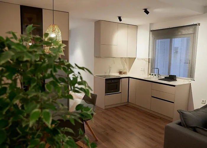 Two Room Two Bath With A Big Private Terrace Appartement Valencia